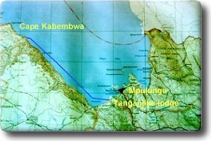 Kape Kapembwa